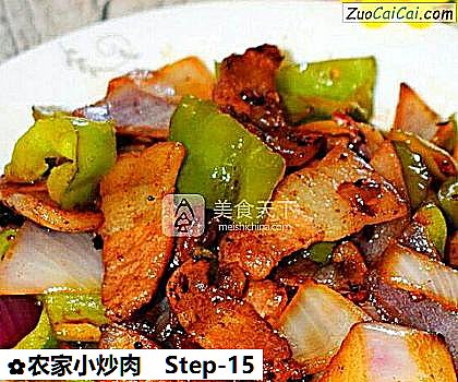 农家小炒肉做法第十五步骤