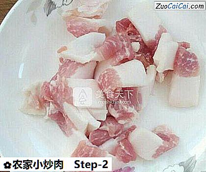 农家小炒肉做法第二步骤