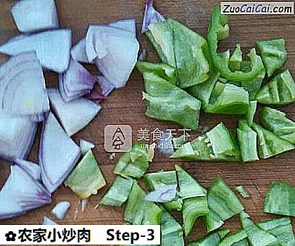 农家小炒肉做法第三步骤