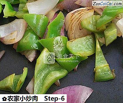 农家小炒肉做法第六步骤
