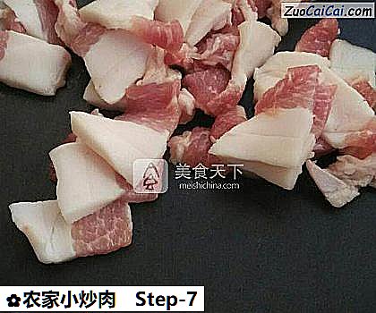 农家小炒肉做法第七步骤