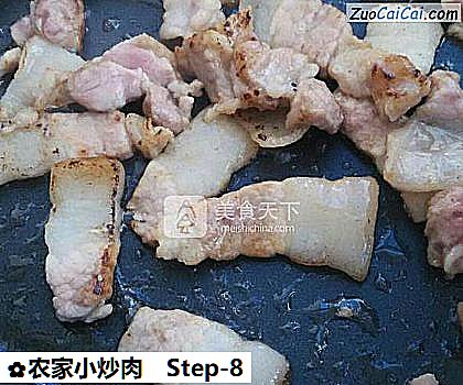 农家小炒肉做法第八步骤