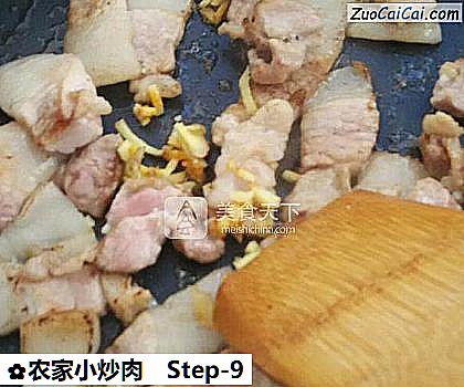 农家小炒肉做法第九步骤
