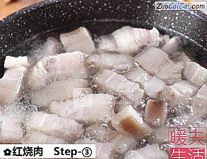 红烧肉做法第三步骤