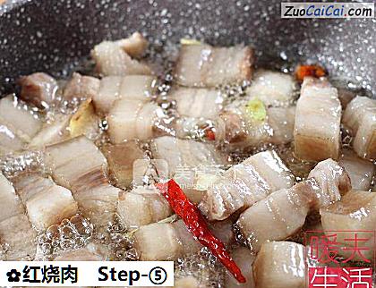 红烧肉做法第五步骤