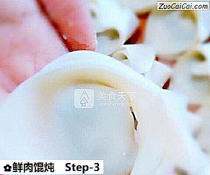 鲜肉馄炖做法第三步骤