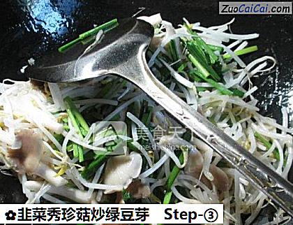 韭菜秀珍菇炒绿豆芽做法第三步骤