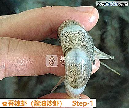 香辣虾做法第一步骤