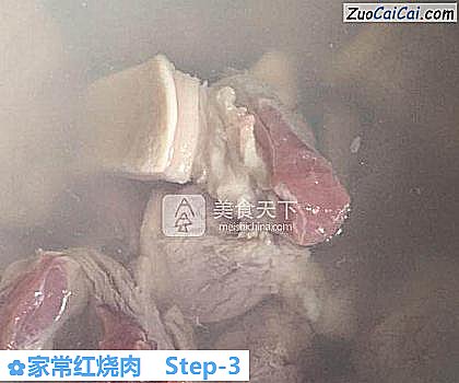 家常红烧肉做法第三步骤