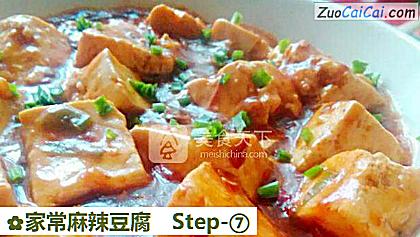 家常麻辣豆腐做法第七步骤