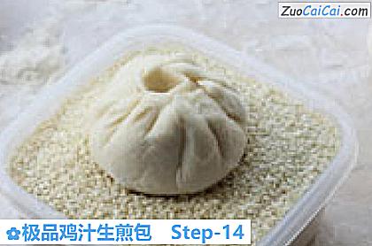 极品鸡汁生煎包做法第十四步骤