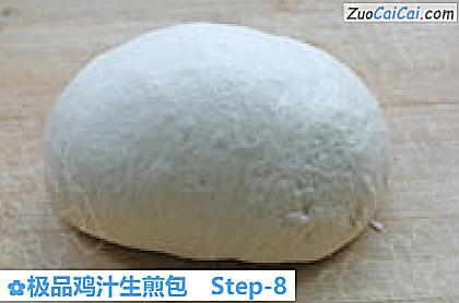 极品鸡汁生煎包做法第八步骤