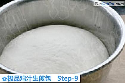 极品鸡汁生煎包做法第九步骤