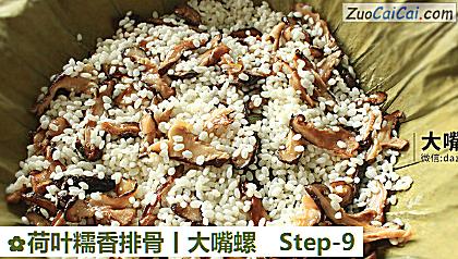 荷叶糯香排骨丨大嘴螺做法第九步骤