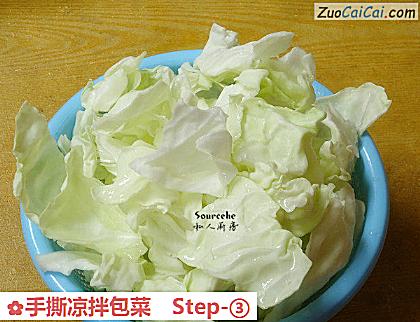 手撕凉拌包菜做法第三步骤