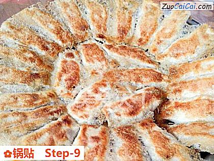锅贴做法第九步骤