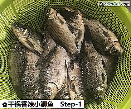 干锅香辣小鲫鱼做法第一步骤