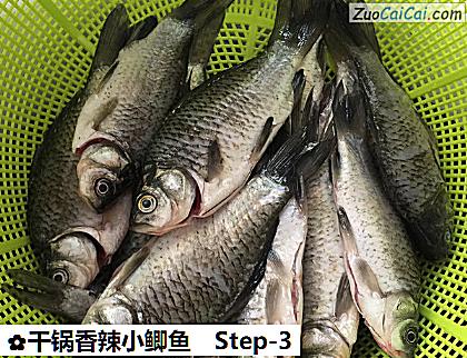 干锅香辣小鲫鱼做法第三步骤