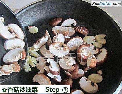 香菇炒油菜做法第三步骤
