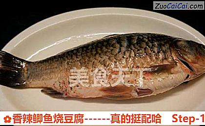 香辣鲫鱼烧豆腐做法第一步骤