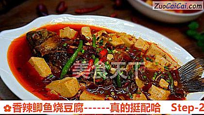 香辣鲫鱼烧豆腐做法第二十二步骤