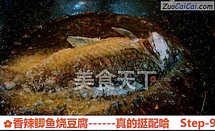 香辣鲫鱼烧豆腐做法第九步骤