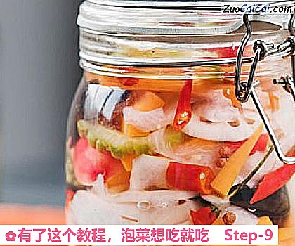 泡菜想吃就吃做法第九步骤