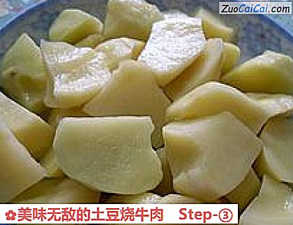 美味无敌的土豆烧牛肉做法第三步骤