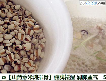 山药薏米炖排骨做法第五步骤