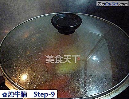 炖牛腩做法第九步骤