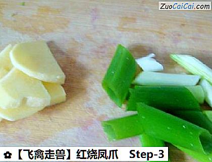 红烧凤爪做法第三步骤