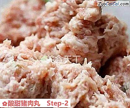 酸甜猪肉丸做法第二步骤