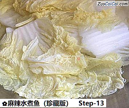 麻辣水煮鱼做法第十三步骤