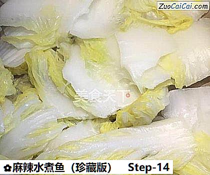 麻辣水煮鱼做法第十四步骤