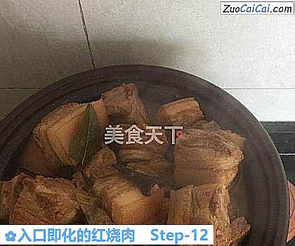 入口即化的红烧肉做法第十二步骤