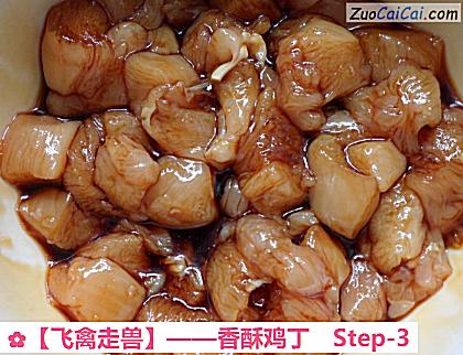 香酥鸡丁做法第三步骤