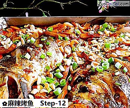 麻辣烤鱼做法第十二步骤