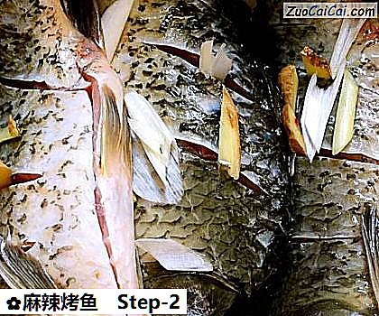 麻辣烤鱼做法第二步骤