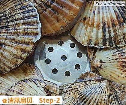 清蒸扇贝做法第二步骤