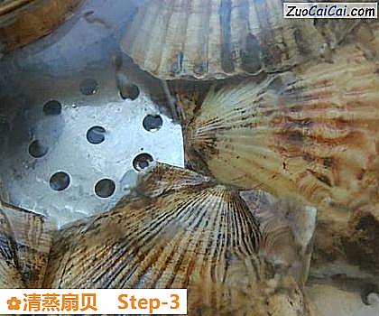 清蒸扇贝做法第三步骤