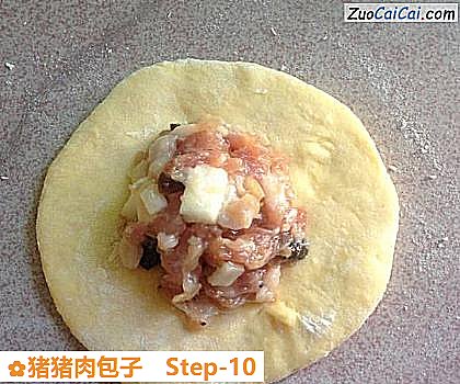 猪猪肉包子做法第十步骤
