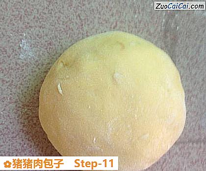 猪猪肉包子做法第十一步骤