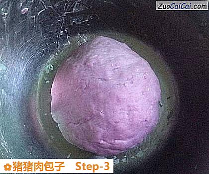猪猪肉包子做法第三步骤