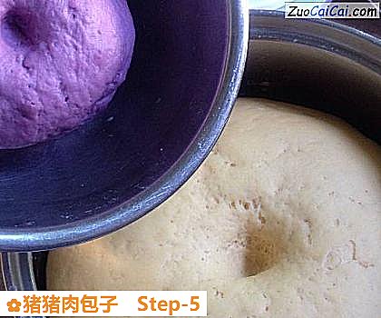 猪猪肉包子做法第五步骤