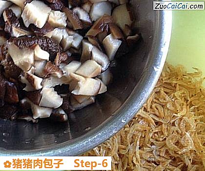 猪猪肉包子做法第六步骤