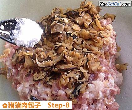 猪猪肉包子做法第八步骤