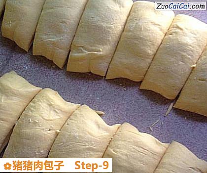 猪猪肉包子做法第九步骤