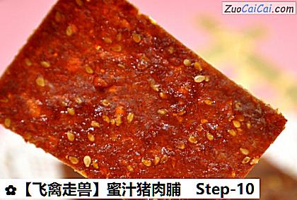 蜜汁猪肉脯做法第十步骤