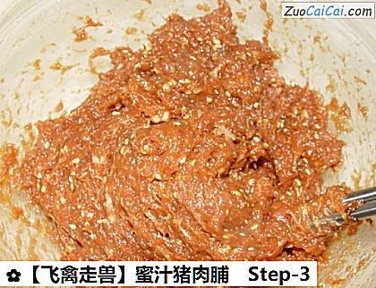 蜜汁猪肉脯做法第三步骤