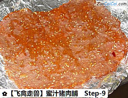 蜜汁猪肉脯做法第九步骤